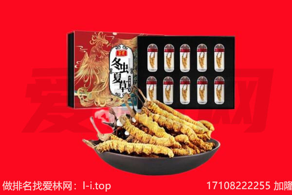 营口市西市回收虫草.jpg